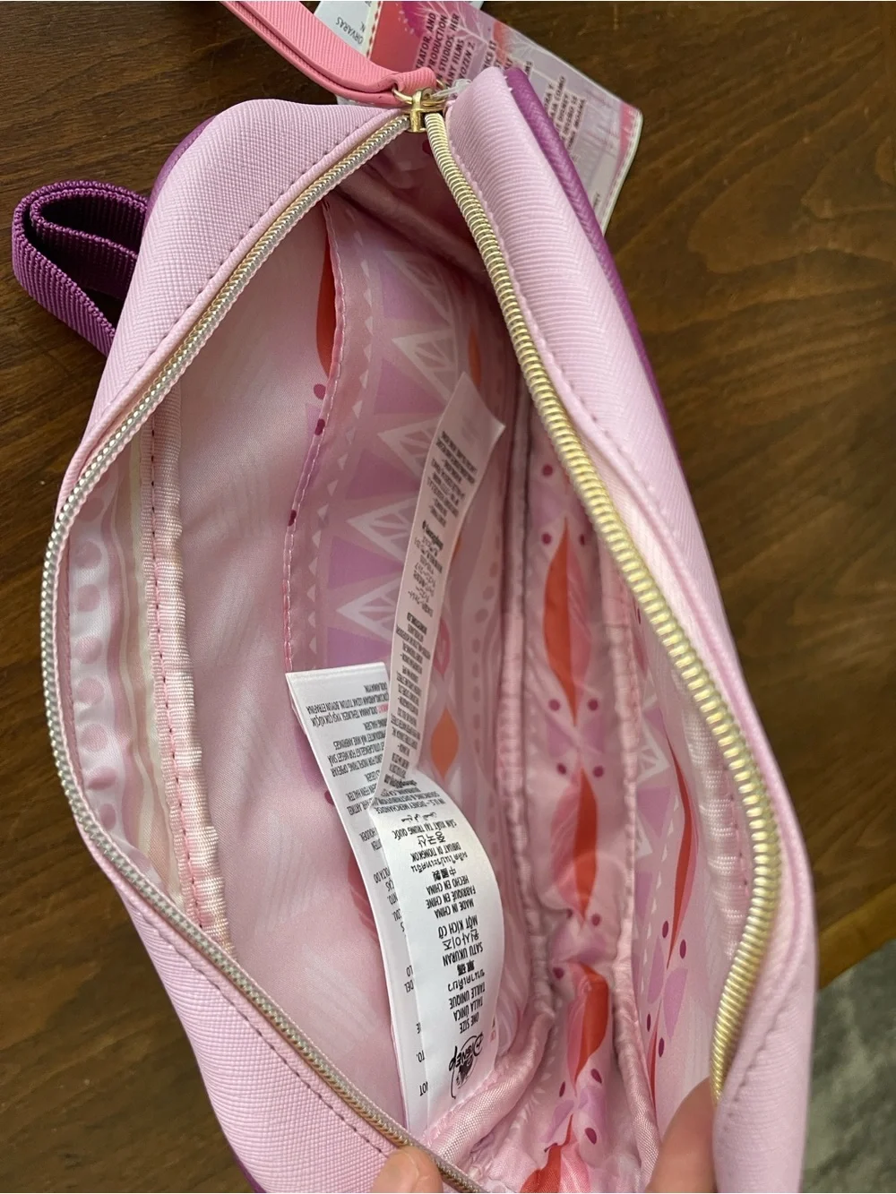 Disney Frozen Anna & Elsa Hip Pack
